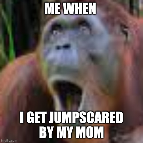 ME WHEN; I GET JUMPSCARED BY MY MOM | made w/ Imgflip meme maker