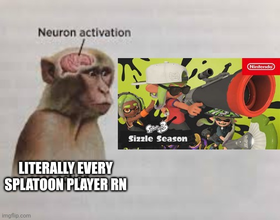 Who else is excited? | LITERALLY EVERY SPLATOON PLAYER RN | image tagged in neuron activation | made w/ Imgflip meme maker