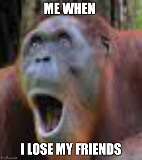 ME WHEN; I LOSE MY FRIENDS | made w/ Imgflip meme maker