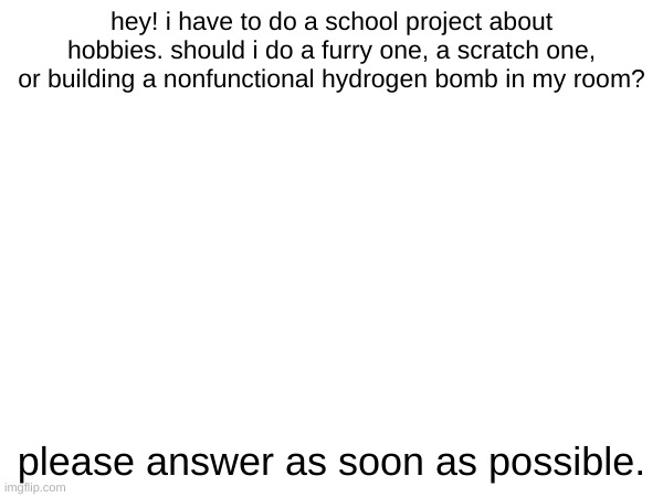 i need help on a project | hey! i have to do a school project about hobbies. should i do a furry one, a scratch one, or building a nonfunctional hydrogen bomb in my room? please answer as soon as possible. | image tagged in furry | made w/ Imgflip meme maker