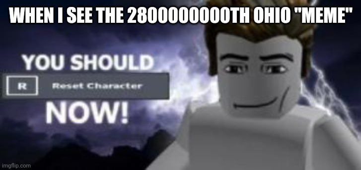 you should reset  character NOW! | WHEN I SEE THE 2800000000TH OHIO "MEME" | image tagged in you should reset your character now,no more ohio | made w/ Imgflip meme maker