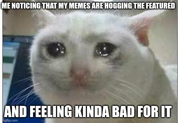 Im not trying to get pity I actually just noticed | ME NOTICING THAT MY MEMES ARE HOGGING THE FEATURED; AND FEELING KINDA BAD FOR IT | image tagged in crying cat | made w/ Imgflip meme maker