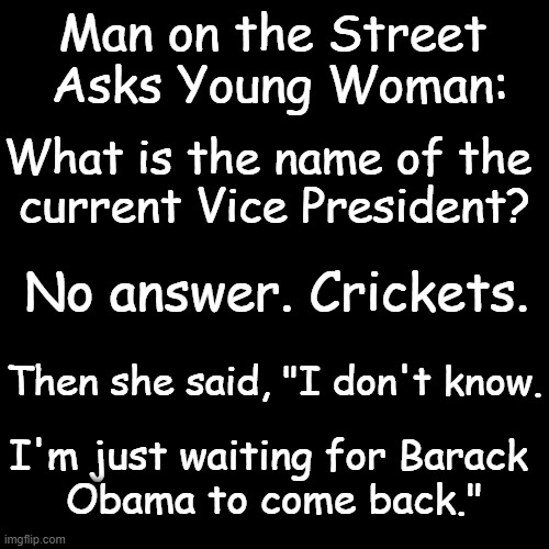 Ignorance Is Bliss | Man on the Street 
Asks Young Woman:; What is the name of the 
current Vice President? No answer. Crickets. Then she said, "I don't know. I'm just waiting for Barack 
Obama to come back." | image tagged in politics,democrat,ignorance,obama,voter,edumacation | made w/ Imgflip meme maker