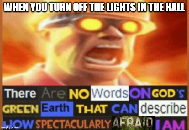 There are no words on god's green earth (scared/afraid version) | WHEN YOU TURN OFF THE LIGHTS IN THE HALL | image tagged in there are no words on god's green earth scared/afraid version,relatable | made w/ Imgflip meme maker