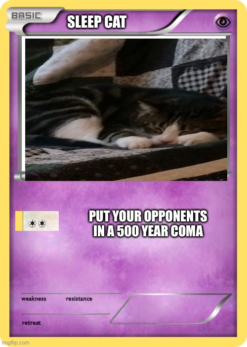 Cat Pokémon | SLEEP CAT; PUT YOUR OPPONENTS IN A 500 YEAR COMA | image tagged in pokemon | made w/ Imgflip meme maker