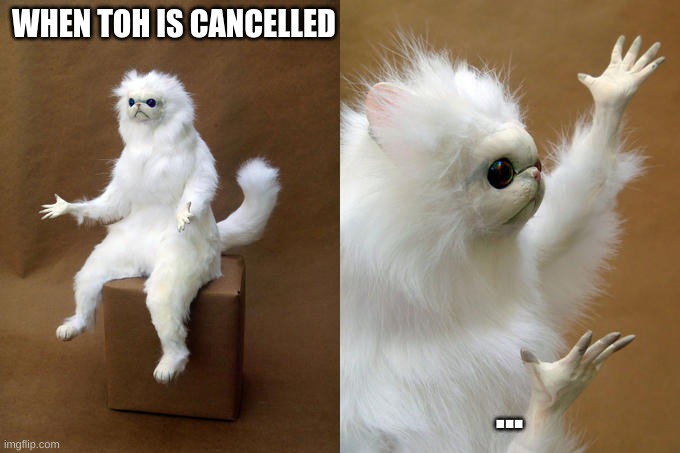 Persian Cat Room Guardian | WHEN TOH IS CANCELLED; ... | image tagged in memes,persian cat room guardian | made w/ Imgflip meme maker