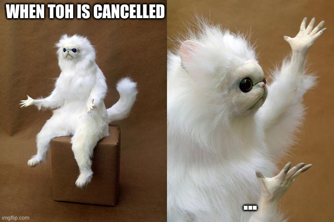 Persian Cat Room Guardian Meme | WHEN TOH IS CANCELLED; ... | image tagged in memes,persian cat room guardian | made w/ Imgflip meme maker