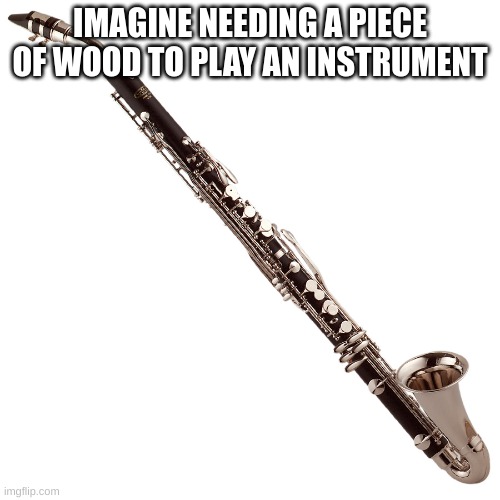 alto clarinet | IMAGINE NEEDING A PIECE OF WOOD TO PLAY AN INSTRUMENT | image tagged in alto clarinet | made w/ Imgflip meme maker
