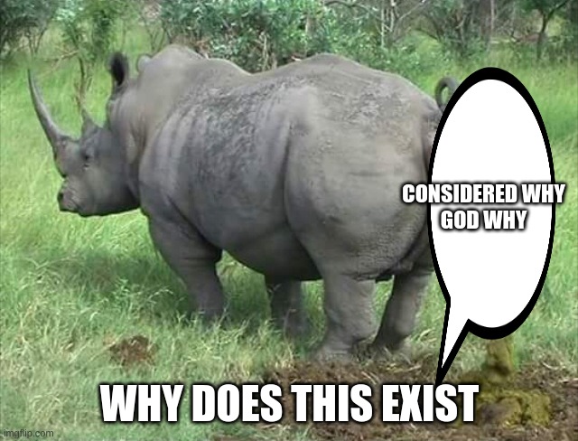 Rino | CONSIDERED WHY GOD WHY; WHY DOES THIS EXIST | image tagged in rino,fun | made w/ Imgflip meme maker