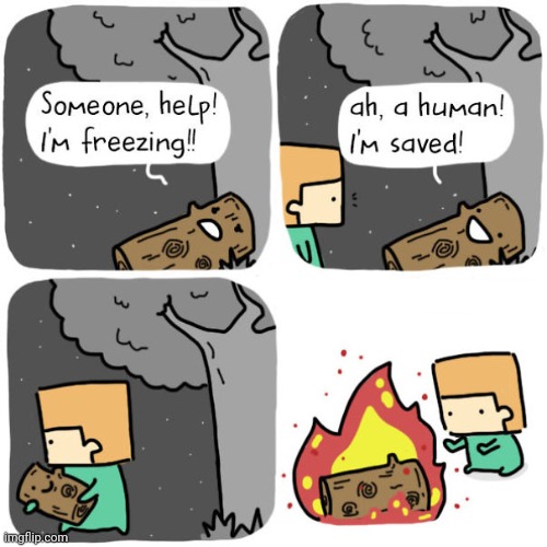 Log needed fire anyways. | image tagged in log,wood,fire,comics,comics/cartoons,burn | made w/ Imgflip meme maker