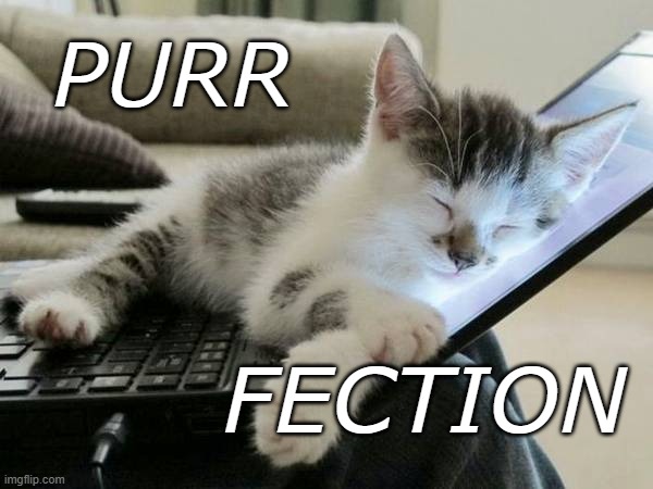 End of the day | PURR; FECTION | image tagged in cat sleep computer,sleep,dreams | made w/ Imgflip meme maker