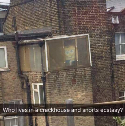 High Quality Who lives in a crackhouse and snorts ecstasy? Blank Meme Template