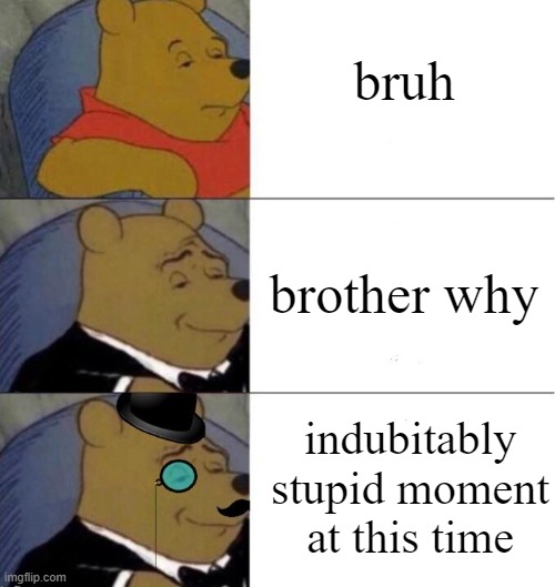 bruh | bruh; brother why; indubitably stupid moment at this time | image tagged in winie the pooh | made w/ Imgflip meme maker