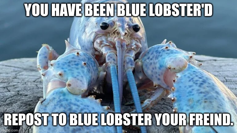 YOU HAVE BEEN BLUE LOBSTER'D; REPOST TO BLUE LOBSTER YOUR FRIEND. | made w/ Imgflip meme maker