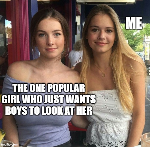 Different size breasts | ME; THE ONE POPULAR GIRL WHO JUST WANTS BOYS TO LOOK AT HER | image tagged in different size breasts | made w/ Imgflip meme maker