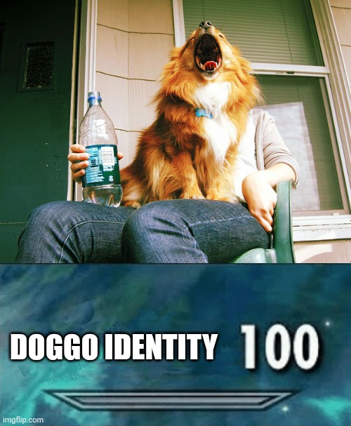Dog optical illusion | DOGGO IDENTITY | image tagged in skyrim skill meme,dogs,dog,memes,illusion,optical illusion | made w/ Imgflip meme maker