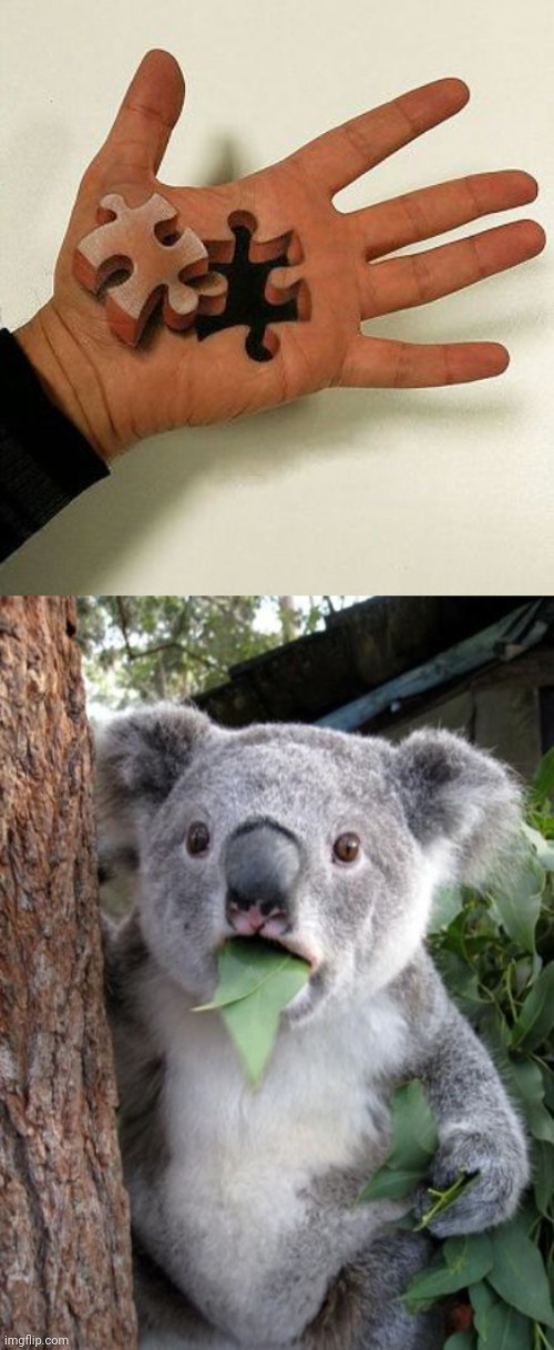 Puzzle hand | image tagged in wowkoala,puzzle,hand,optical illusion,memes,hands | made w/ Imgflip meme maker