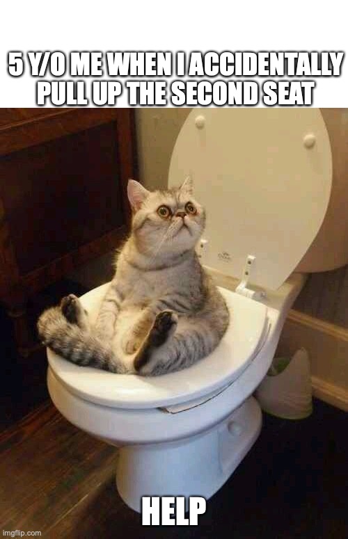 Has this happened to anyone else :( | 5 Y/O ME WHEN I ACCIDENTALLY PULL UP THE SECOND SEAT; HELP | image tagged in toilet cat | made w/ Imgflip meme maker