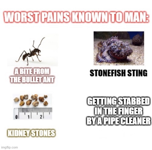 most painful things known to man | GETTING STABBED IN THE FINGER BY A PIPE CLEANER | image tagged in most painful things known to man | made w/ Imgflip meme maker