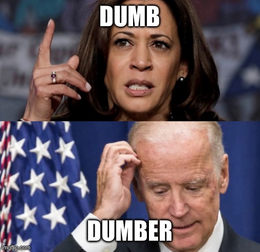 Kamala Harris and Joe Biden | DUMB DUMBER | image tagged in kamala harris and joe biden | made w/ Imgflip meme maker