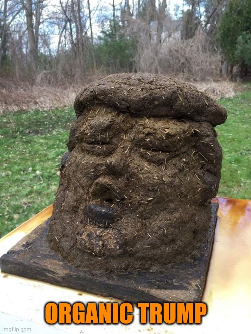 Horseshit Trump Head | ORGANIC TRUMP | image tagged in horseshit trump head | made w/ Imgflip meme maker