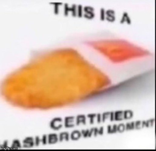 image tagged in certified hashbrown moment | made w/ Imgflip meme maker