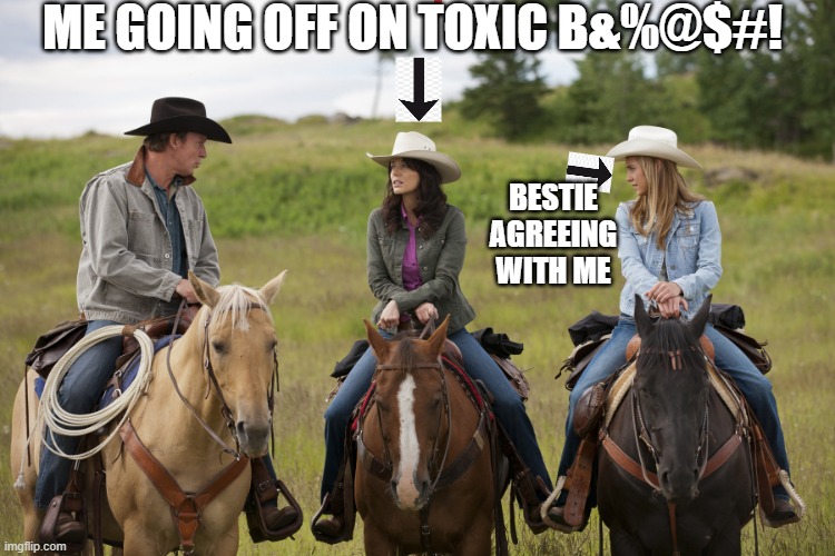 frustration at Heartland | ME GOING OFF ON TOXIC B&%@$#! BESTIE AGREEING WITH ME | image tagged in frustration at heartland | made w/ Imgflip meme maker