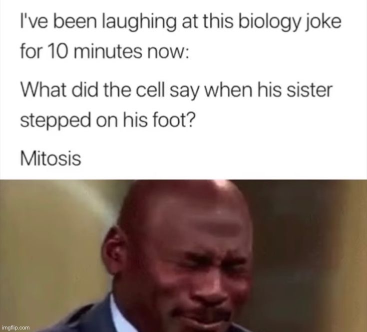 image tagged in memes,funny | made w/ Imgflip meme maker