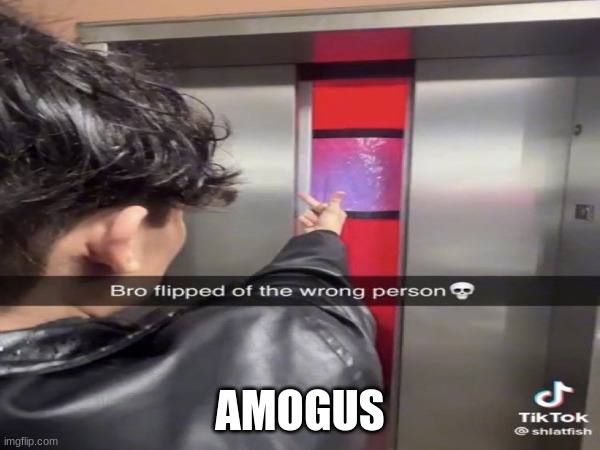 bro flipped off the wrong person? | AMOGUS | image tagged in amogus,amogus sussy | made w/ Imgflip meme maker
