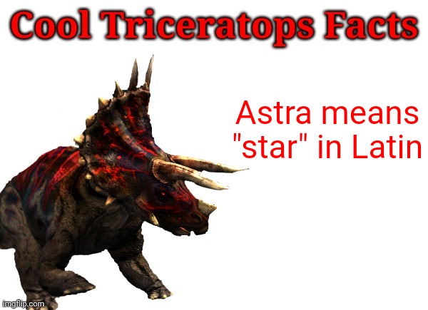 Cuz she's everybody's little star :-) | Astra means "star" in Latin | image tagged in cool triceratops facts | made w/ Imgflip meme maker