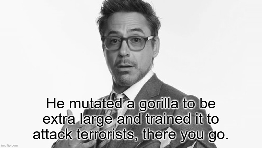 Robert Downey Jr's Comments | He mutated a gorilla to be extra large and trained it to attack terrorists, there you go. | image tagged in robert downey jr's comments | made w/ Imgflip meme maker