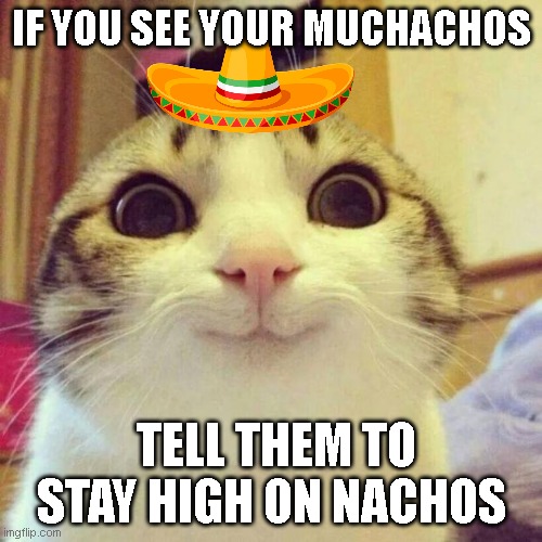 When I'm told to speak more about things I like: | IF YOU SEE YOUR MUCHACHOS; TELL THEM TO STAY HIGH ON NACHOS | image tagged in memes,smiling cat | made w/ Imgflip meme maker
