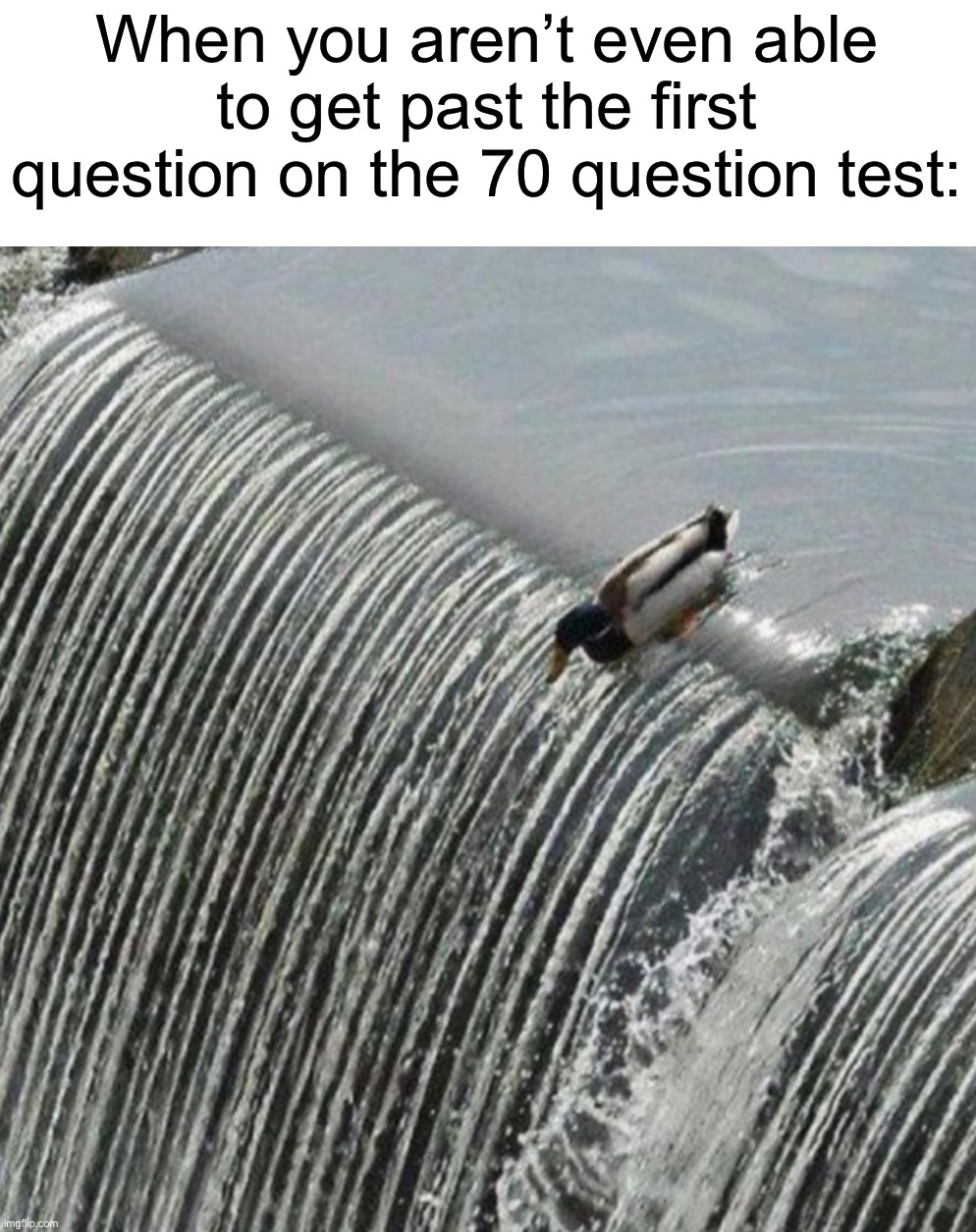 Guess I’ll die | When you aren’t even able to get past the first question on the 70 question test: | image tagged in memes,funny,true story,relatable memes,school,oh no | made w/ Imgflip meme maker