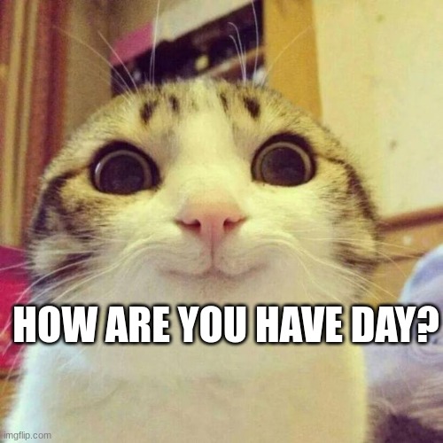 how are you have day? | HOW ARE YOU HAVE DAY? | image tagged in memes,smiling cat | made w/ Imgflip meme maker
