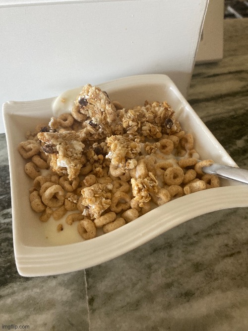 made yogurt and added cereal and granola bar chunks, does it look good or bad? | made w/ Imgflip meme maker