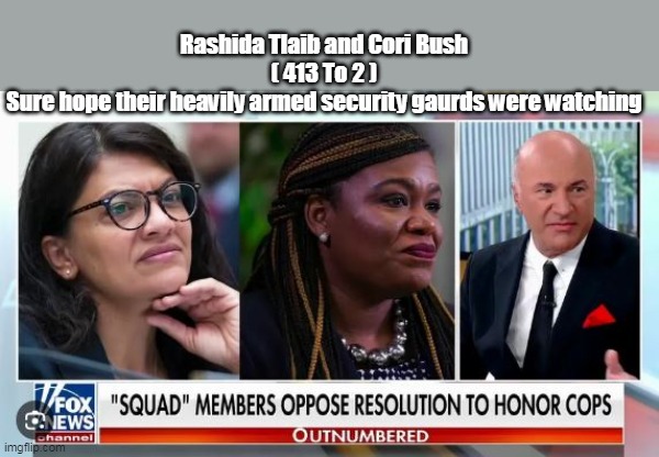 Imagine needing the attention THIS BAD | Rashida Tlaib and Cori Bush
( 413 To 2 )
Sure hope their heavily armed security gaurds were watching | image tagged in voted most likely to be vile | made w/ Imgflip meme maker