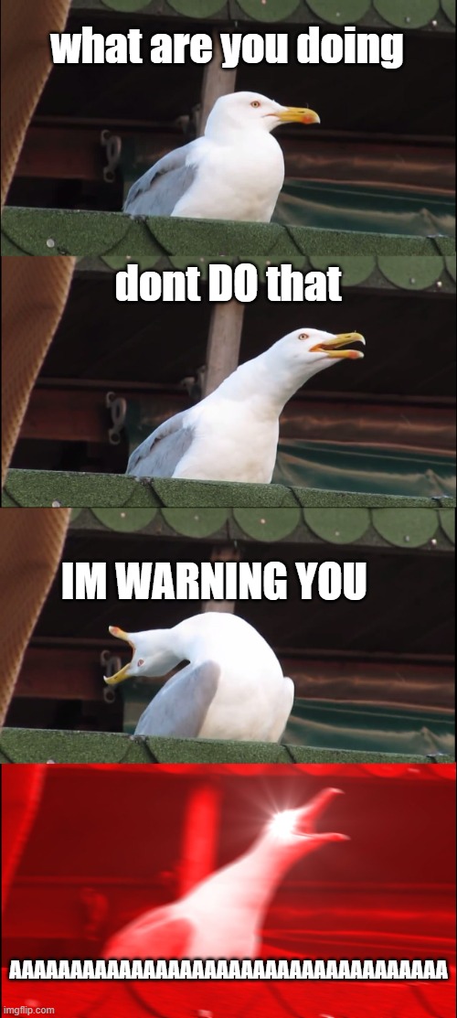dont do it | what are you doing; dont DO that; IM WARNING YOU; AAAAAAAAAAAAAAAAAAAAAAAAAAAAAAAAAAAA | image tagged in memes,inhaling seagull | made w/ Imgflip meme maker