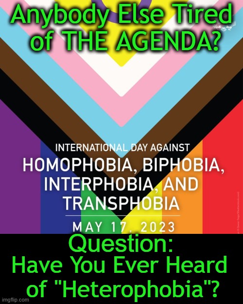"The only thing we have to fear is fear itself" | Anybody Else Tired 
of THE AGENDA? Question:; Have You Ever Heard 
of "Heterophobia"? | image tagged in politics,homophobic,agenda,in your face,sick of it,victims | made w/ Imgflip meme maker