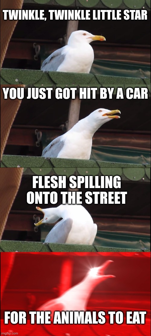 '0' | TWINKLE, TWINKLE LITTLE STAR; YOU JUST GOT HIT BY A CAR; FLESH SPILLING ONTO THE STREET; FOR THE ANIMALS TO EAT | image tagged in memes,inhaling seagull,poetry,nursery rhymes | made w/ Imgflip meme maker