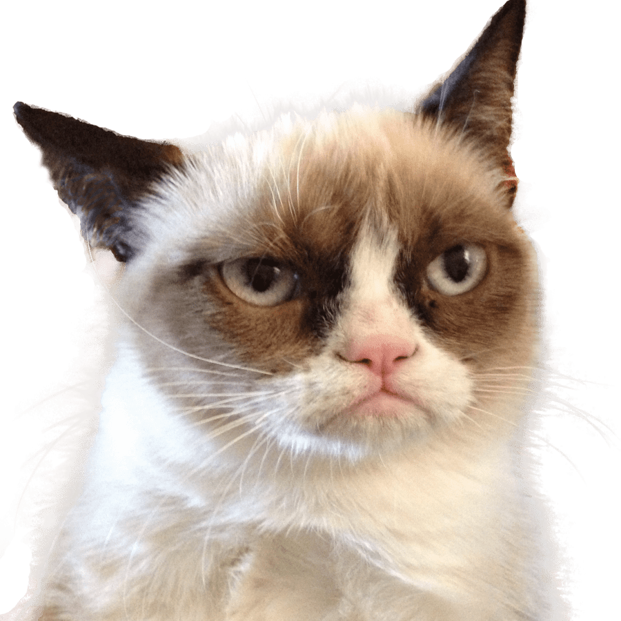 Grumpy Cat Blank Meme Template