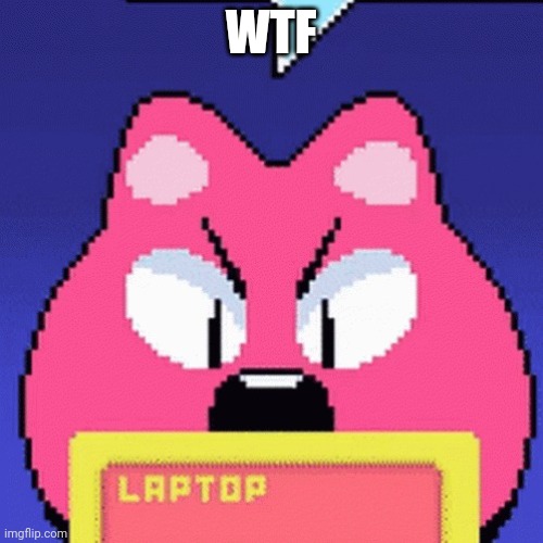 itemlabel dinkle | WTF | image tagged in itemlabel dinkle | made w/ Imgflip meme maker