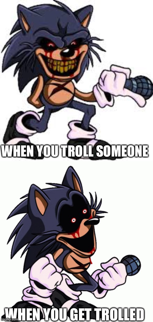 Lord x troll | WHEN YOU TROLL SOMEONE; WHEN YOU GET TROLLED | image tagged in lord x | made w/ Imgflip meme maker