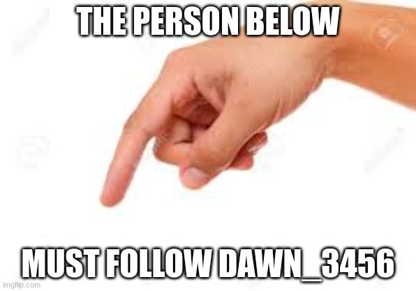 the person below | THE PERSON BELOW MUST FOLLOW DAWN_3456 | image tagged in the person below | made w/ Imgflip meme maker