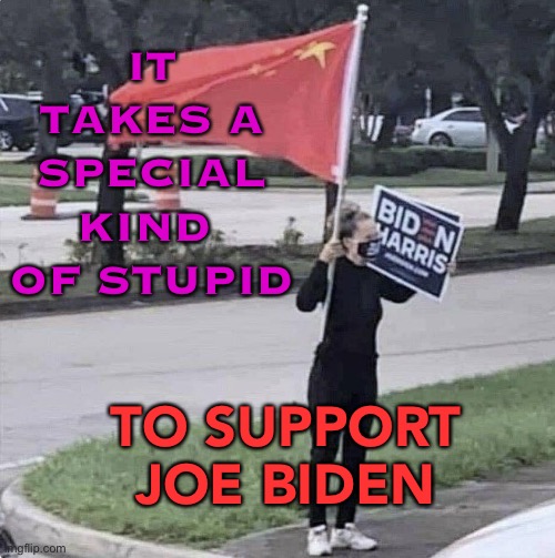 IT TAKES A SPECIAL KIND OF STUPID | IT TAKES A SPECIAL KIND 
OF STUPID; TO SUPPORT JOE BIDEN | image tagged in average leftist | made w/ Imgflip meme maker