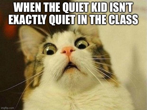 Oh no | WHEN THE QUIET KID ISN’T EXACTLY QUIET IN THE CLASS | image tagged in memes,scared cat | made w/ Imgflip meme maker