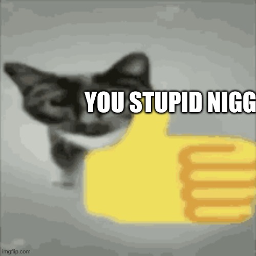 cat thumbs up | YOU STUPID NIGGE | image tagged in cat thumbs up | made w/ Imgflip meme maker