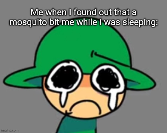 It bit me on my neck, my right arm, my right ankle and on my left foot | Me when I found out that a mosquito bit me while I was sleeping: | image tagged in sad bandu,idk,stuff,s o u p,carck | made w/ Imgflip meme maker