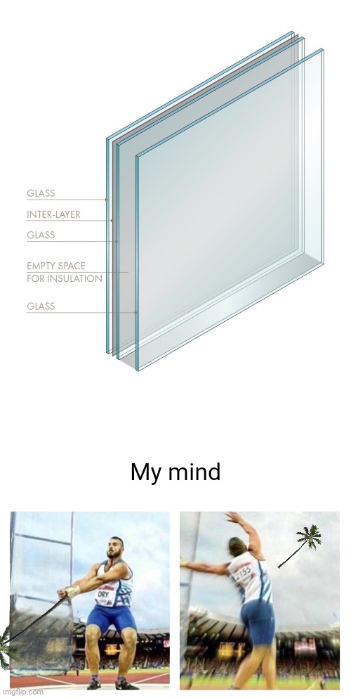 Why do I want to test the glass against a tree | My mind | image tagged in throwing x | made w/ Imgflip meme maker