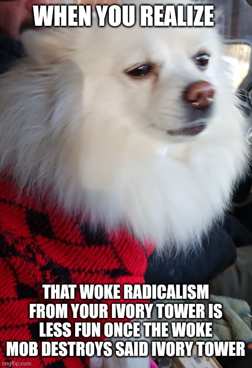 2020 feels | WHEN YOU REALIZE THAT WOKE RADICALISM FROM YOUR IVORY TOWER IS LESS FUN ONCE THE WOKE MOB DESTROYS SAID IVORY TOWER | image tagged in 2020 feels | made w/ Imgflip meme maker