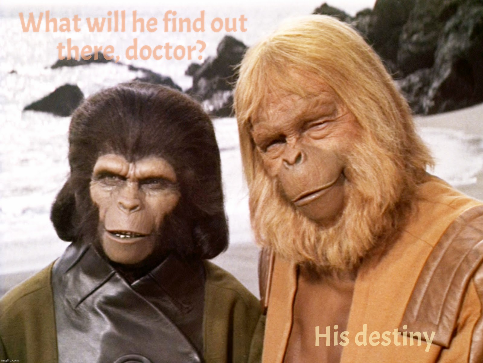 Don't look for it, you may not like what you find | What will he find out
there, doctor? His destiny | image tagged in planet of the apes,dr zira,dr zeus,the end is nigh,the end happened a while back,destiny | made w/ Imgflip meme maker